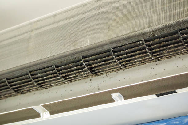 Best Air Quality Test  in Dooms, VA